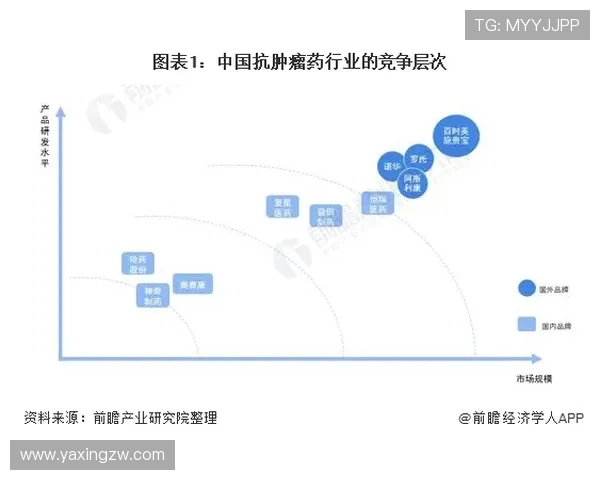 亚星娱乐有限公司：如何通过数字化转型提升企业竞争力与市场份额