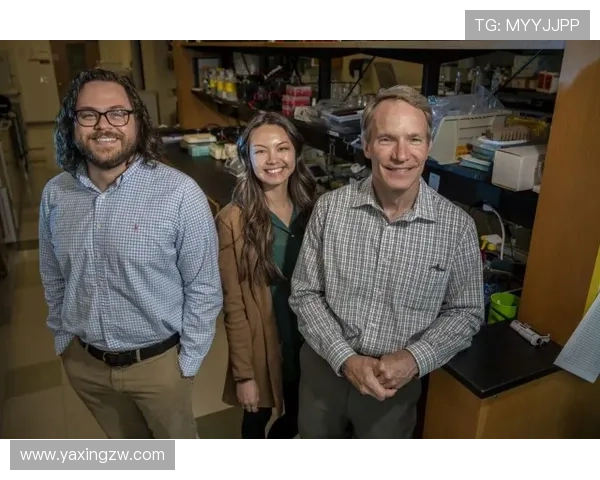 亚星娱乐网上退分失败原因分析，帮助用户避免常见错误确保顺利退分