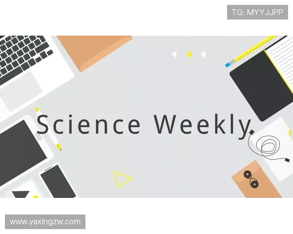 亚星官网868行业新闻动态每日更新掌握行业前沿