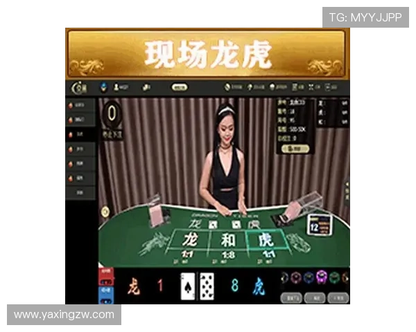 亚星平台会员登录版，保障账号安全的多重验证与风险防范措施