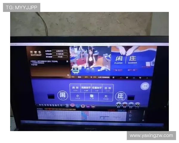 亚星平台登录入口网址详细介绍及登录流程指南