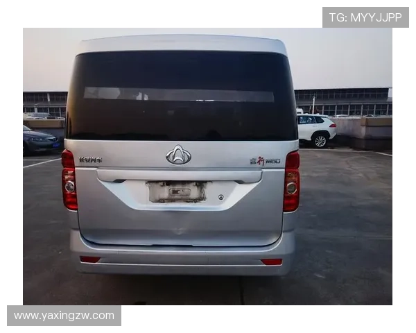 亚星222官网详细介绍及亚星游戏的归属地信息全面解析