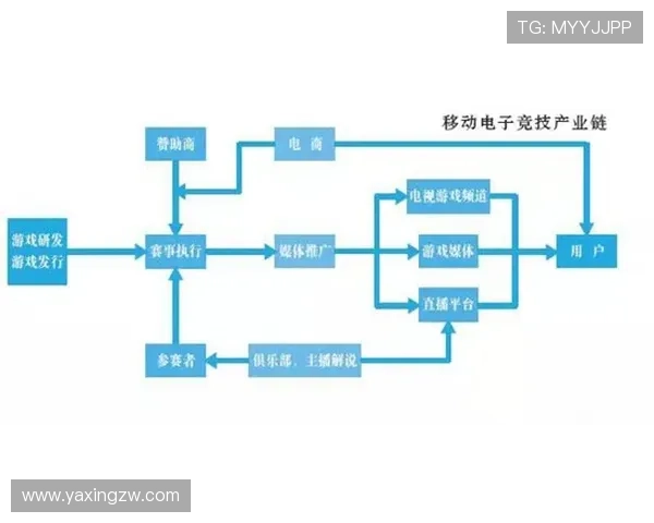 亚星管理平台 hzxydn在游戏运营中实现财务管理与收益分析的具体应用