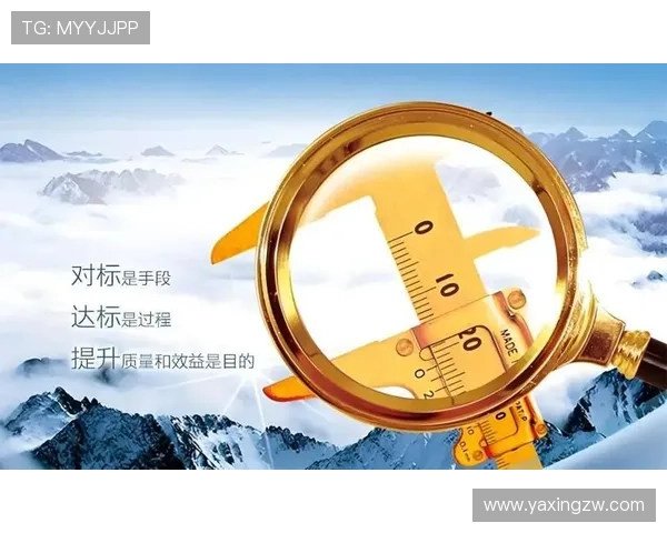 亚星网址管理平台提升网站管理效率的实用技巧与操作流程