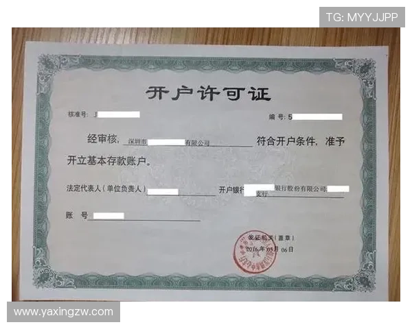 新手必看亚星现金开户详细流程及常见问题解答全方位指导 新手必看亚星现金开户详细流程及常见问题解答全方位指导